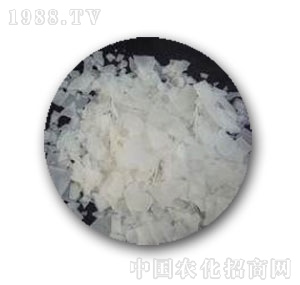 �к����W(xu��)-99�x��ĤƬ