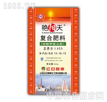 �G�(y��ng)��-��(f��)�Ϸʣ�14-16-15��