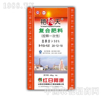 �G�(y��ng)��-50%��(f��)�Ϸ���