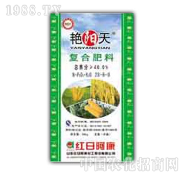 �G�(y��ng)��-��(f��)�Ϸʣ�28-6-6��