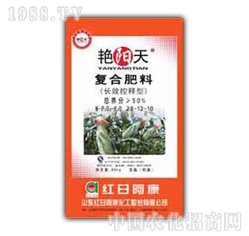 �G�(y��ng)��-��(f��)�Ϸʣ�28-12-10��