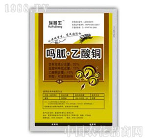 ������-���������~