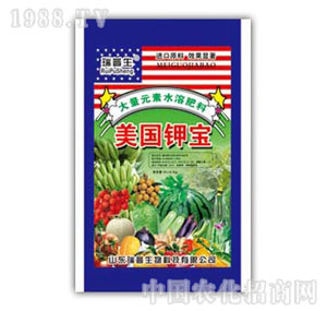 ������-����⛌�