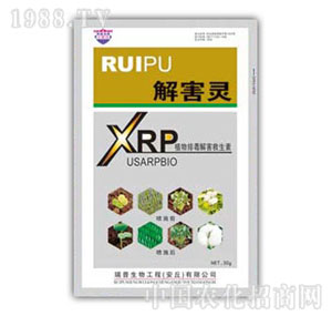 ������-�⺦�`