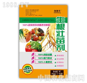 ������-�������焩