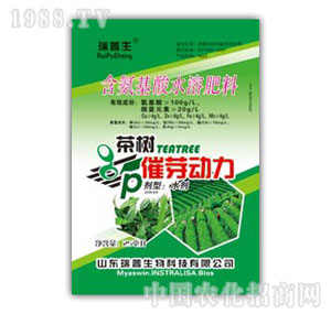 ������-��ѿ����