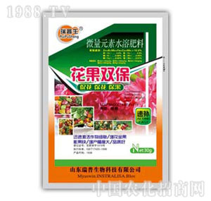 ������-�����p��