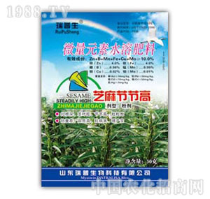 ������-֥�鹝(ji��)��(ji��)��