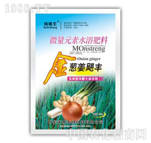 ������-���[���Z�S