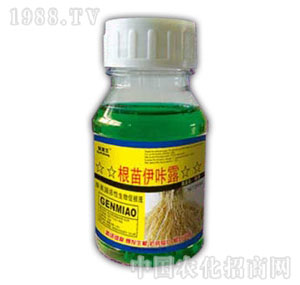 ������-��������¶