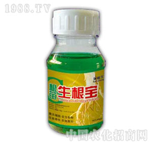 ������-����������