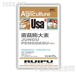 ������-���������