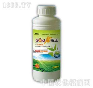 ������-�����