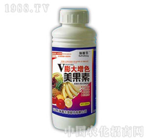 ������-�����ɫ������