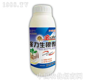 ������-��(qi��ng)��������