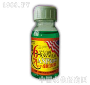 ������-6-�S����