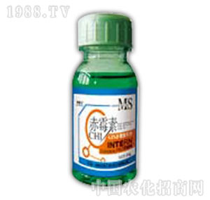 ������-��ù��