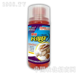 ������-�����L�ÿ�