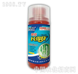 ������-�|���L�ÿ�