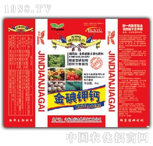 ��ԣ-�{�׽����}