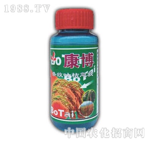 ��ԣ-����