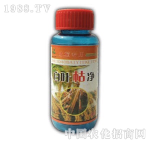 ��ԣ-���~�݃�