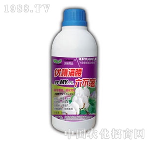 ��ԣ-���ҝM��������