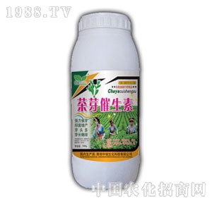 ��ԣ-��ѿ������