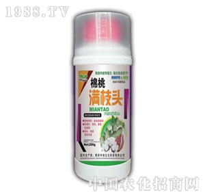 ��ԣ-���ҝM֦�^