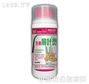 ��ԣ-����չ�~�`