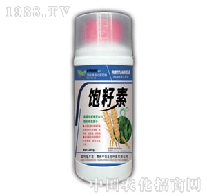 ��ԣ-�����