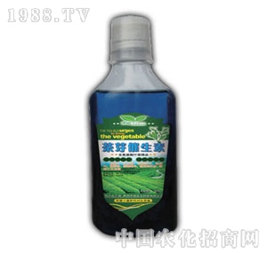 ��ԣ-��ѿ������