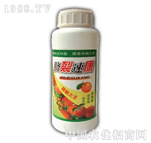 ��ԣ-Ě���ٿ�