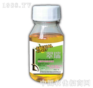 ��ԣ-����