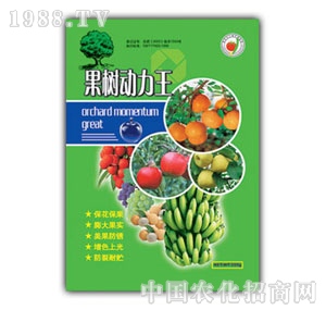 ��ԣ-���������