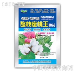 ��ԣ-��֦���������޻���