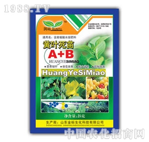 ��ԣ-�S�~����A+B