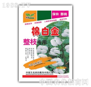 ��(r��n)ԣ-�ް׽���֦��(zhu��n)��