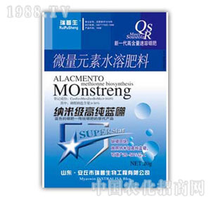 ������-�{�׼�(j��)�߼��{(l��n)��