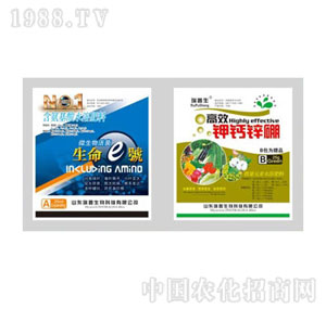 ������-����1̖(h��o)+��}�\��