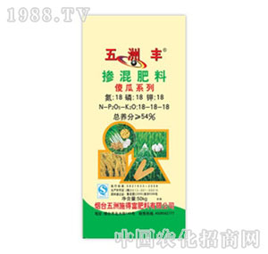 �����S-54%�������