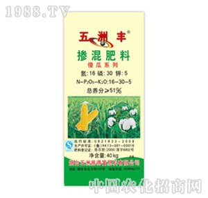 �����S-51%�������