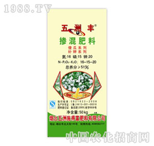 �����S-51%�������