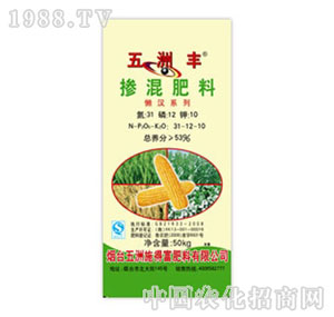 �����S-53%�������