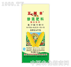 �����S-51%�������