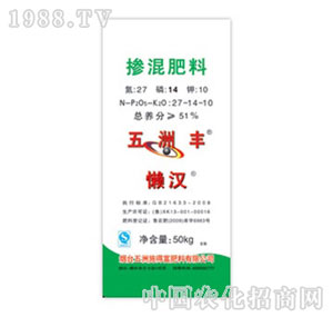 �����S-�Нh51%�������