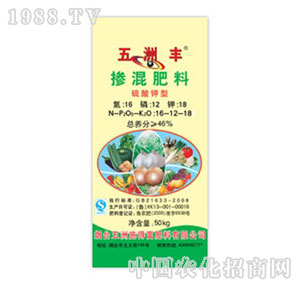 �����S-46%��������������