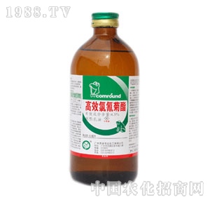 �G�I(y��)Ԫ-�����ܡ�����