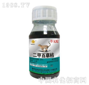 �f���޻�-�ݟo(w��)ۙ