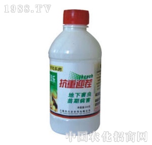 ���_-���혷